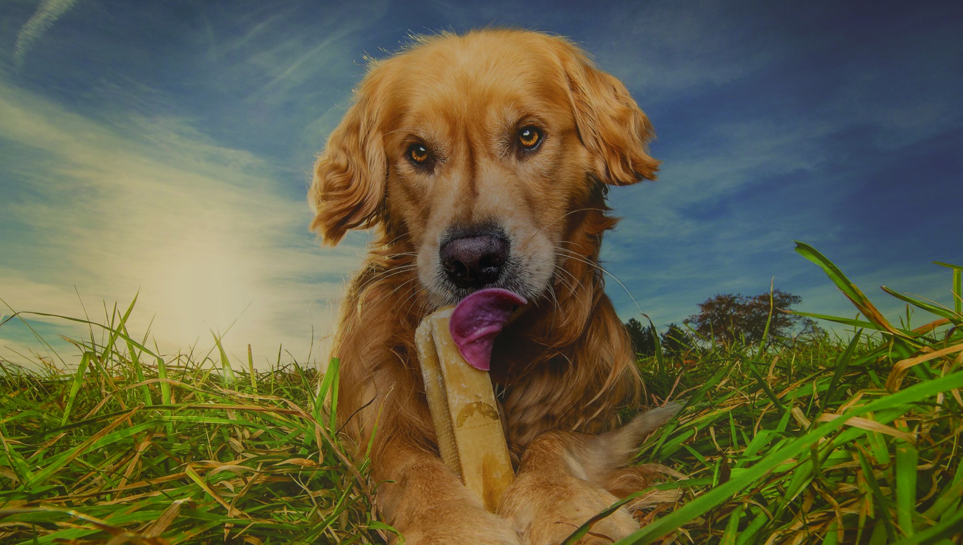 The Pure Hymalayan-yakkaas-bufffelhoorn-olijfhout-koffiehout